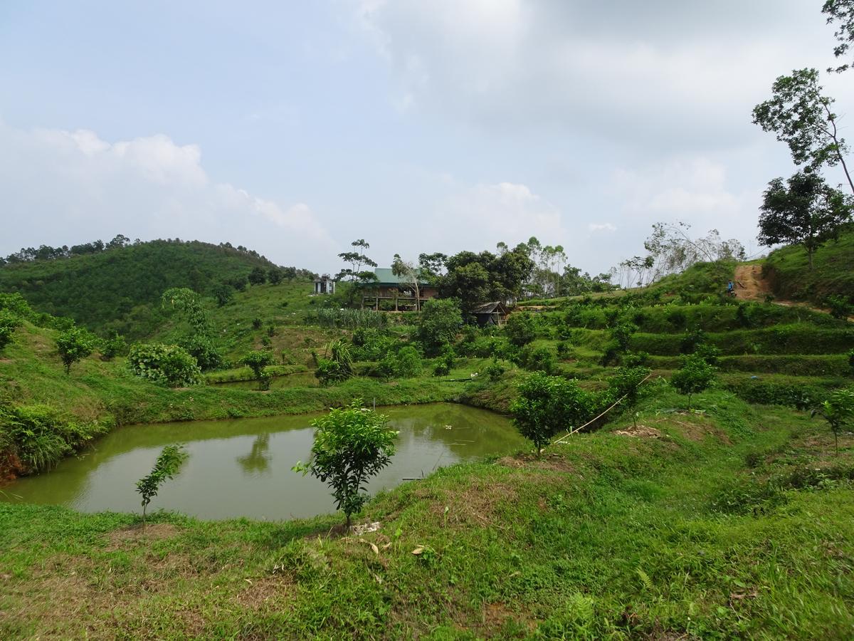 Thac Ba Family Homestay Ho To المظهر الخارجي الصورة